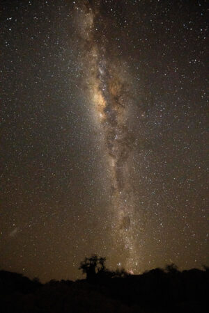 The trip really began when we arrived at Kubu Island. On each of the two nights I went out after dark and took some star shots - a lot of experimenting later and I came away with one good photo!