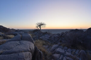 Looking west, before dawn