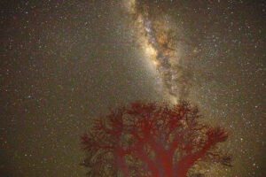 Another attempt at a star shot, this time from the Baines campsite